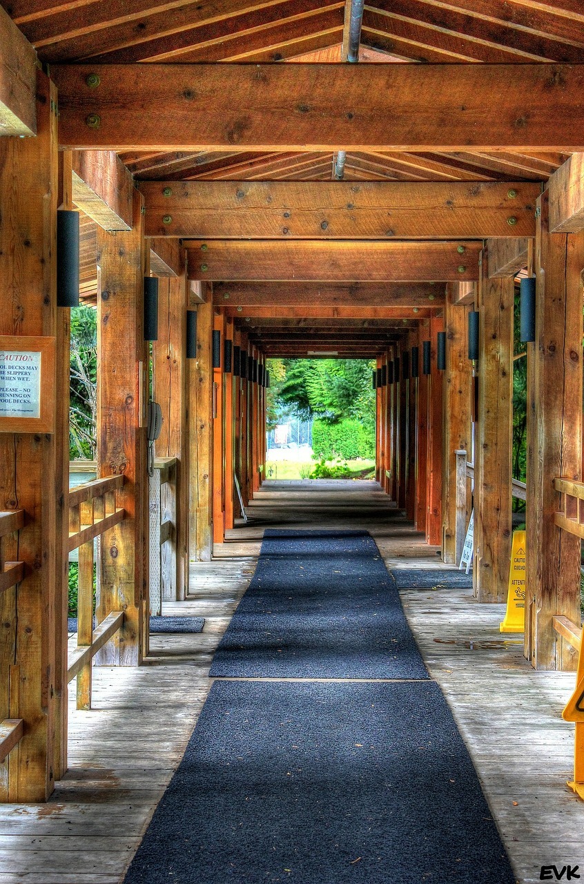 pathway, beams, lumbar